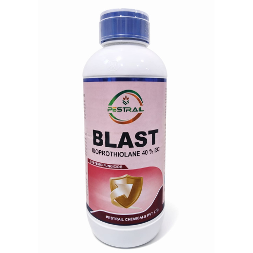 BLAST